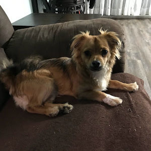 Meet your Posher, Sherry